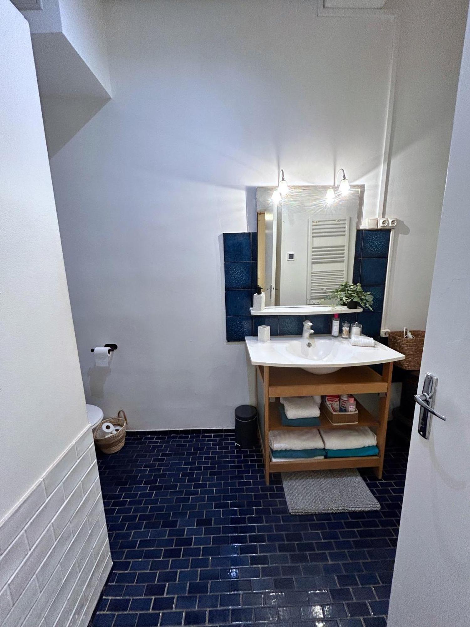 Le Patio Riquet Apartment ตูลูส ภายนอก รูปภาพ